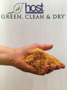 green carpet cleaning services