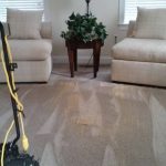 vacuum carpet lines