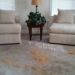 living room carpet before professional cleaning