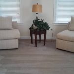 freshly cleaned living room carpet with vacuum lines