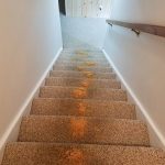 dirty carpet on stairs