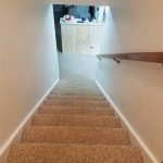 freshly cleaned carpet on stairs