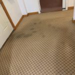 carpet cleaning