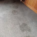 grey carpeted floor with several stains with wood panel walls