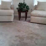 extremely stained living room carpet
